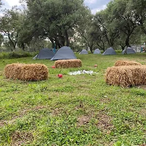 Cika's Camping , Borsh Albania